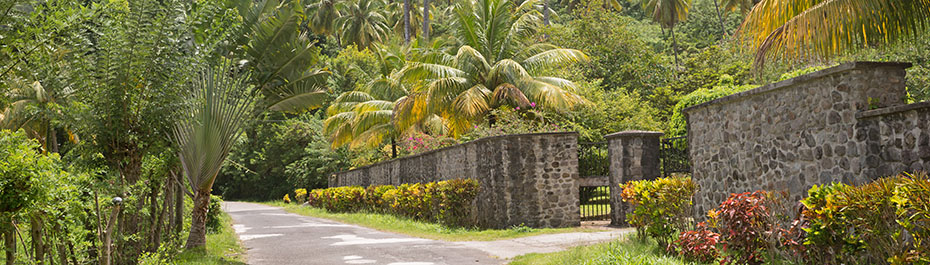 Valley Car Rental Dominica
