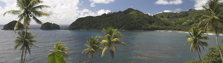Valley Car Rental Dominica